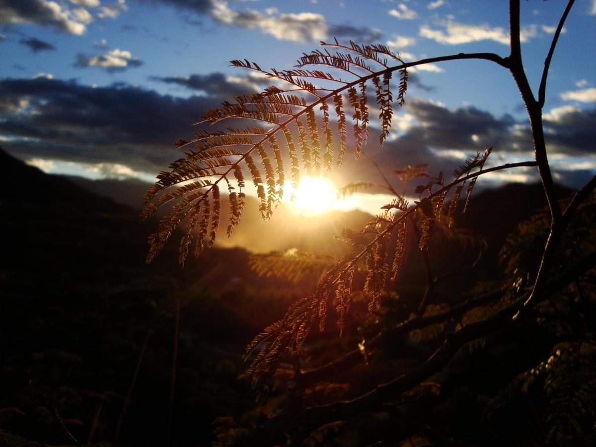 Rumi Wilco Ecolodge & Nature Reserve-Cabanas & Camping Vilcabamba Eksteriør billede