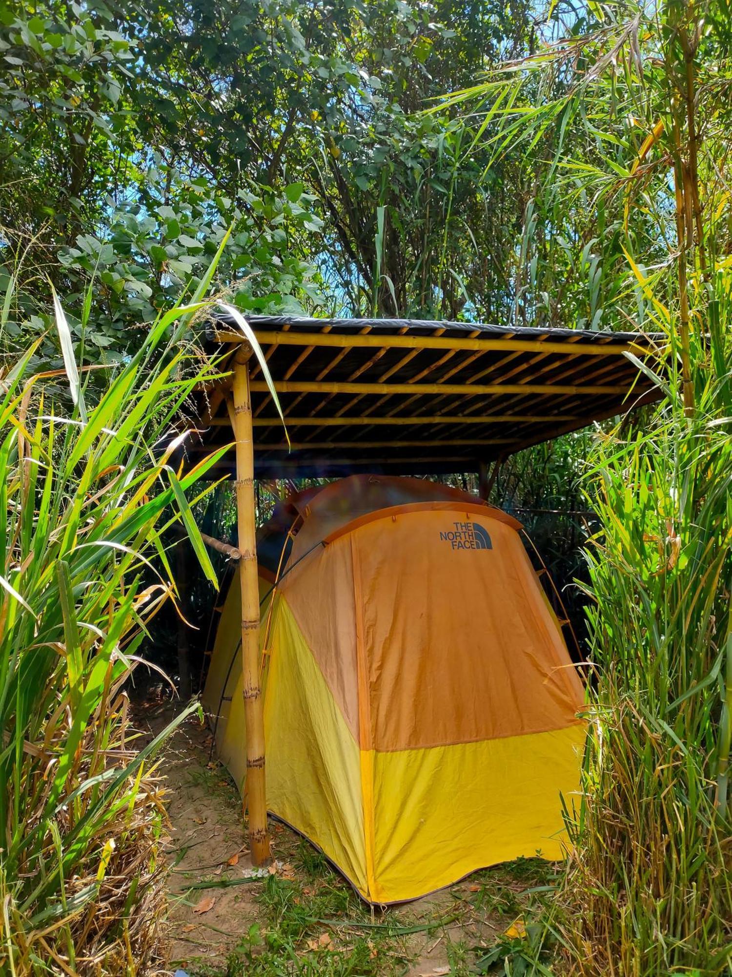 Rumi Wilco Ecolodge & Nature Reserve-Cabanas & Camping Vilcabamba Eksteriør billede