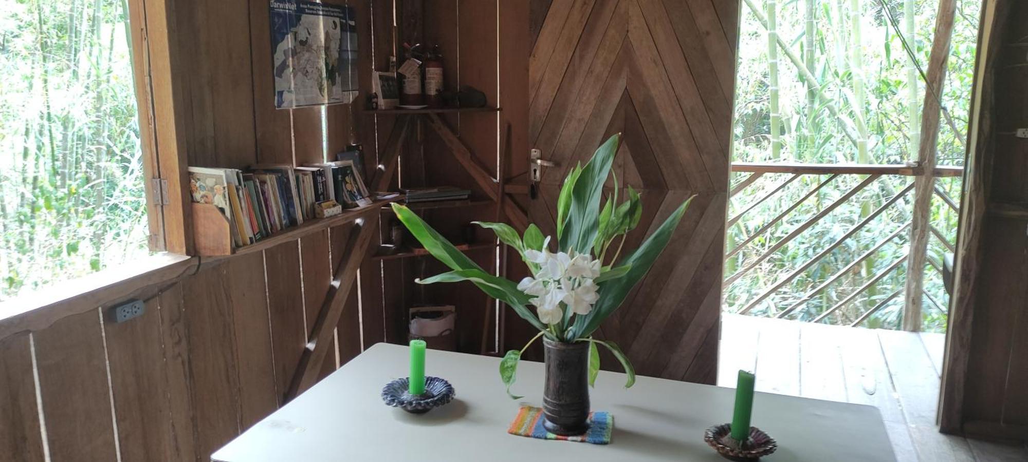Rumi Wilco Ecolodge & Nature Reserve-Cabanas & Camping Vilcabamba Eksteriør billede
