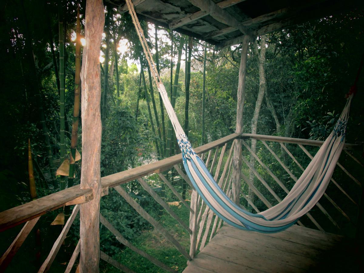 Rumi Wilco Ecolodge & Nature Reserve-Cabanas & Camping Vilcabamba Eksteriør billede