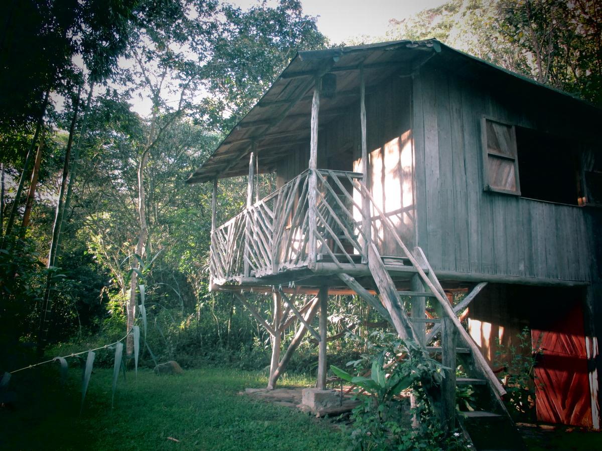 Rumi Wilco Ecolodge & Nature Reserve-Cabanas & Camping Vilcabamba Eksteriør billede