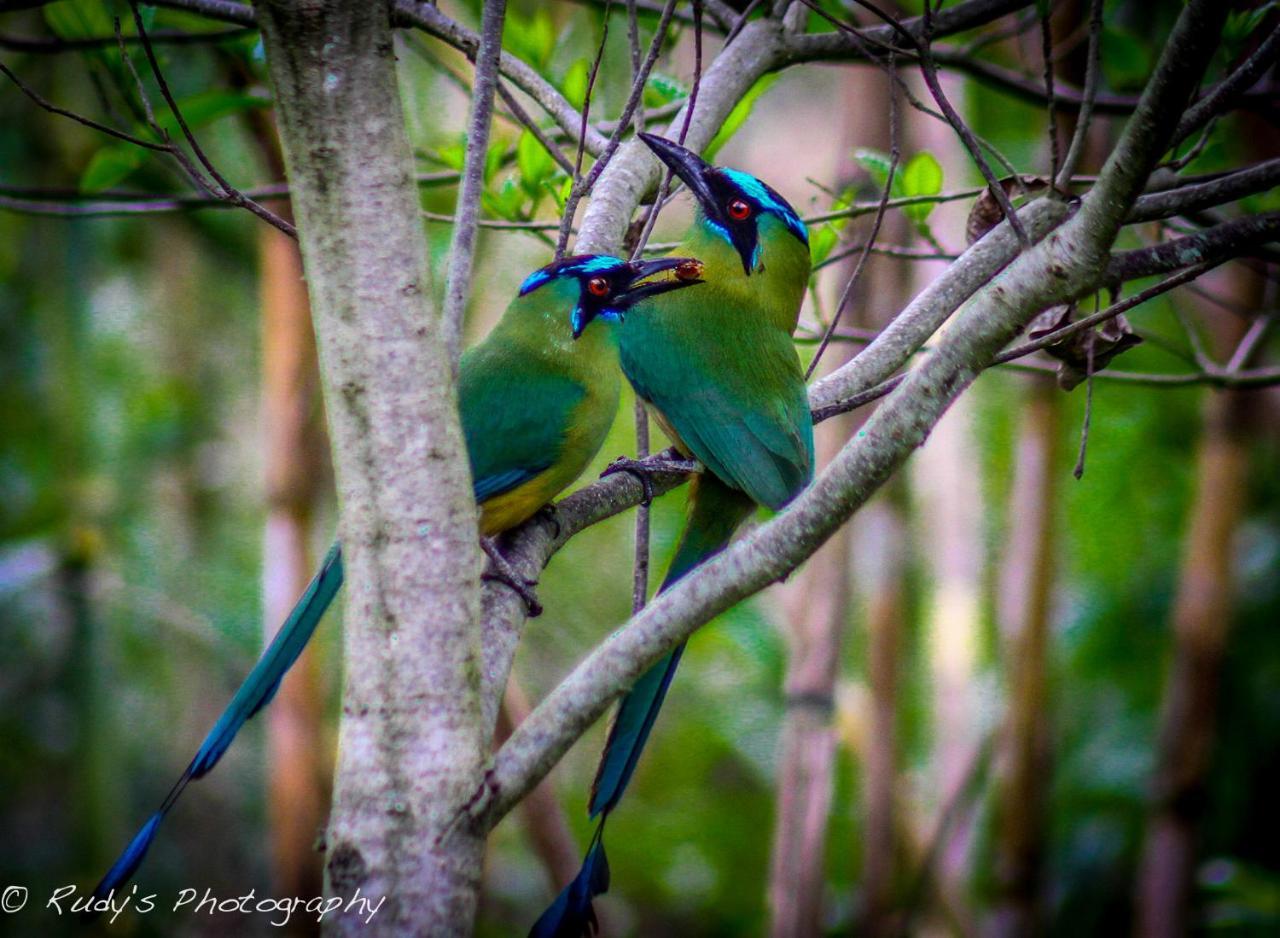 Rumi Wilco Ecolodge & Nature Reserve-Cabanas & Camping Vilcabamba Eksteriør billede